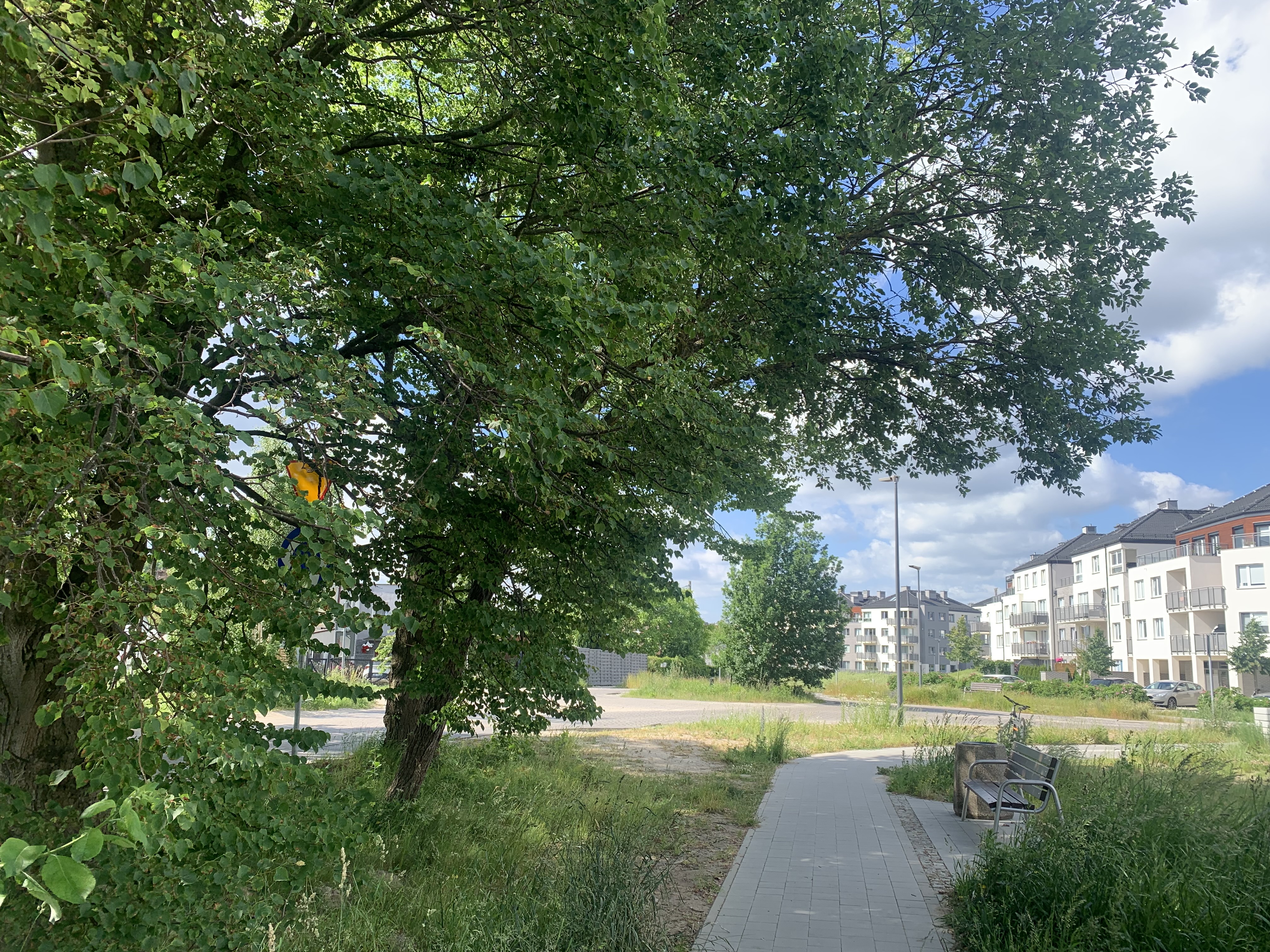 ciąg pieszy A.Krauzego // D.Matejczyk//WI UM Gdynia