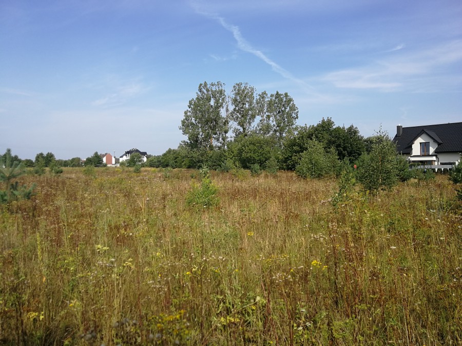 Jeden z grunt&oacute;w, kt&oacute;re poszukają nowego właściciela - teren przy ul. Fregatowej na Chwarznie-Wiczlinie, fot. investgdynia.pl