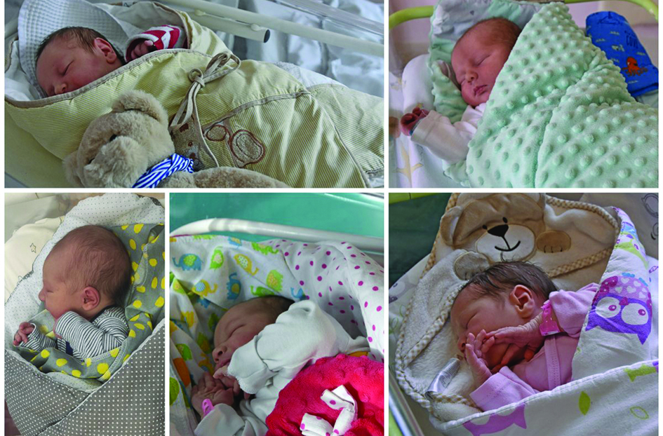 Maluszki urodzone 10.10.2020//fot. z materiał&oacute;w pras.