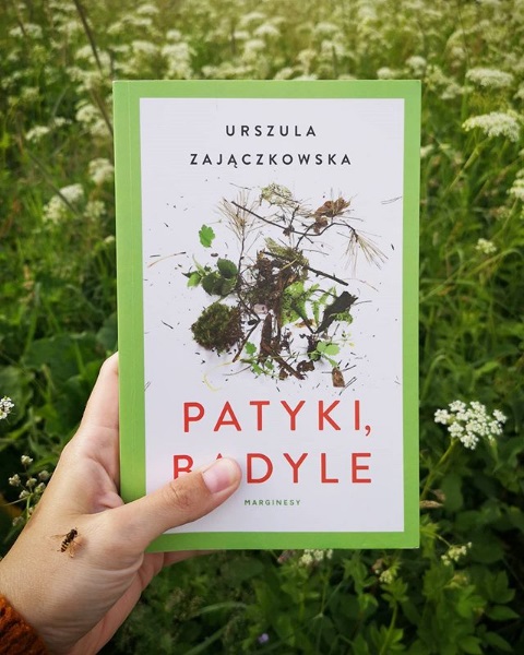 Urszula Zajączkowska &bdquo;Patyki, badyle&rdquo;