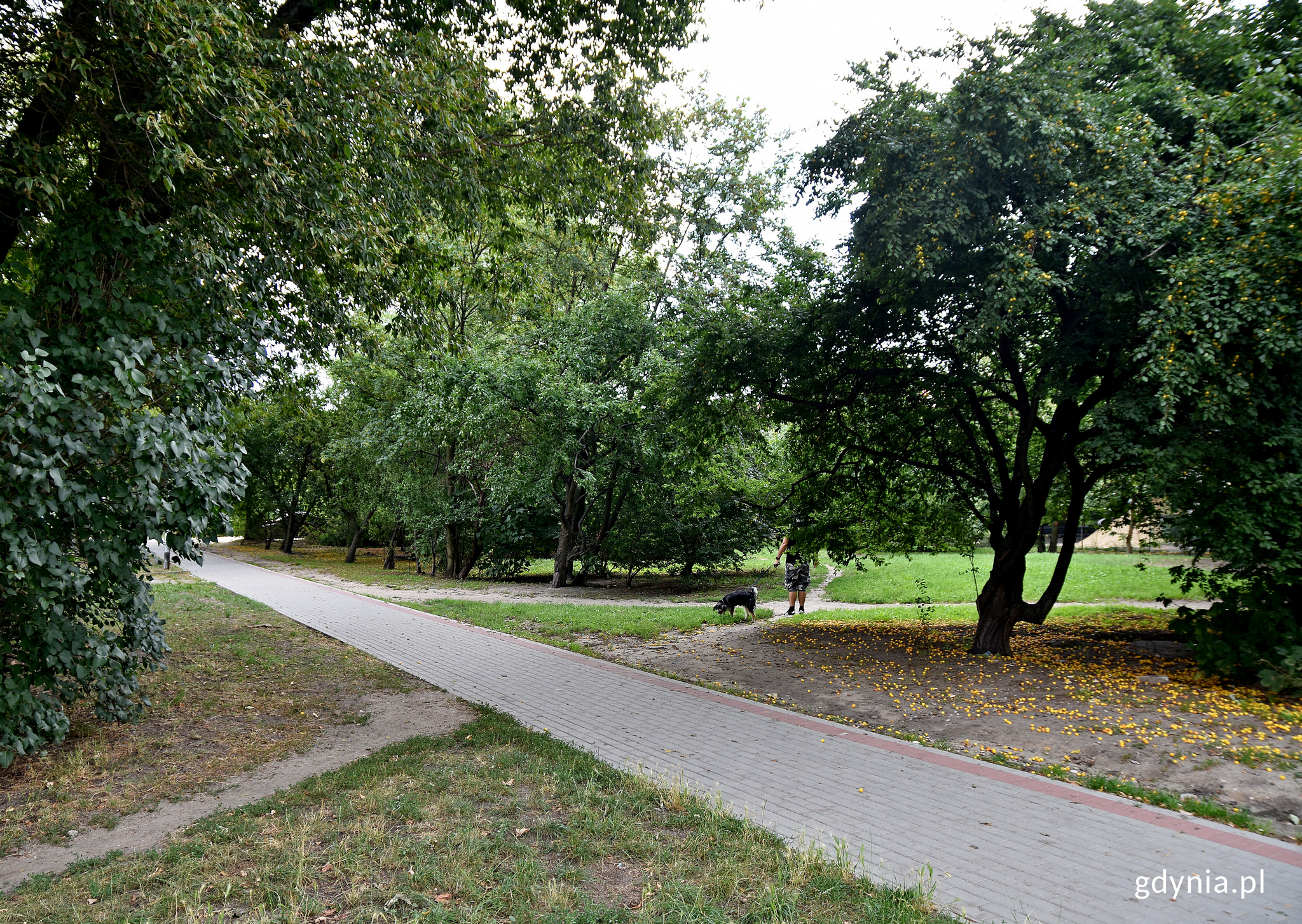 Tak obecnie wygląda teren, gdzie powstanie park// fot.gdynia.pl