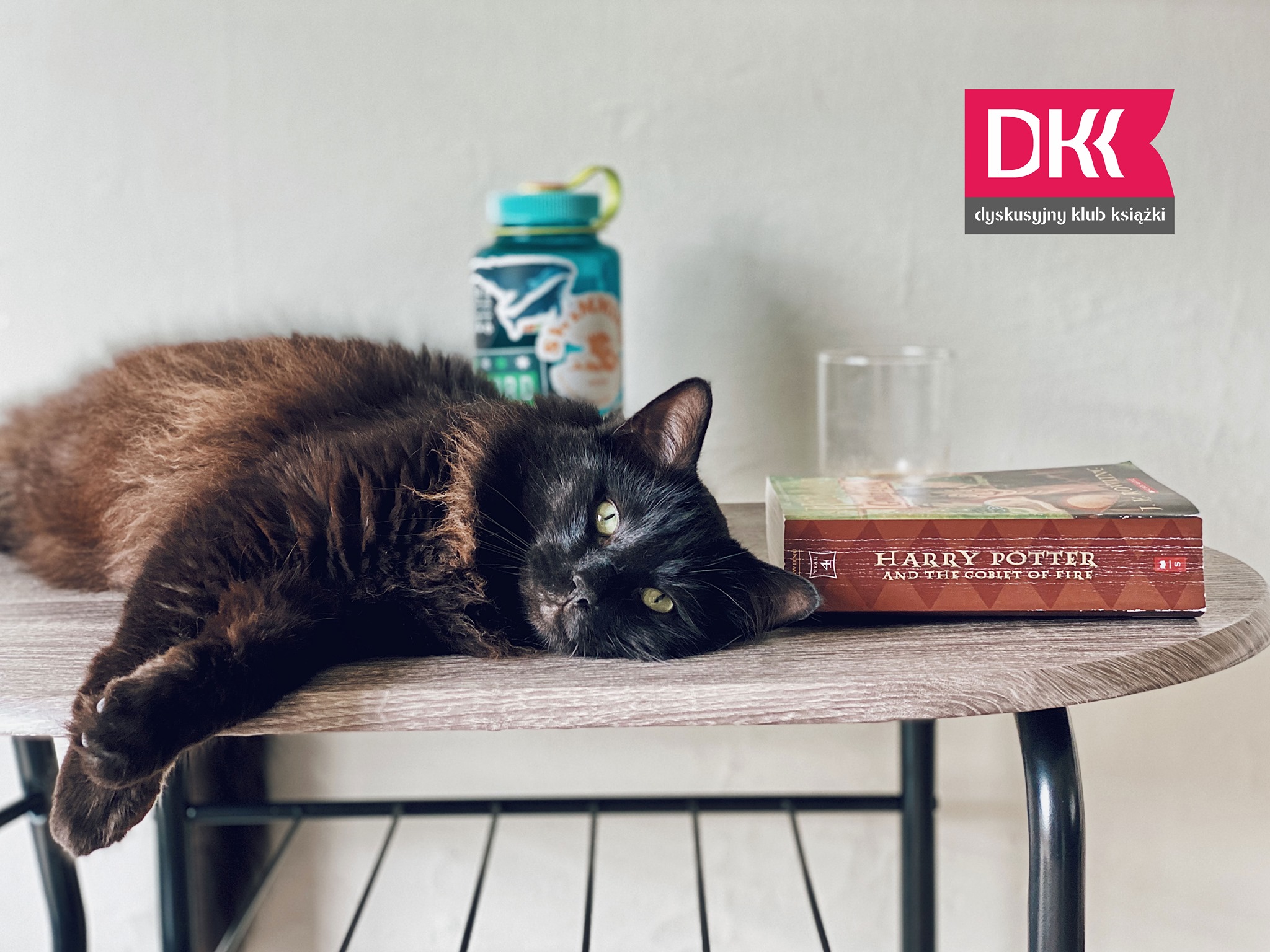 Zakon Rycerzy Zaginionego Woluminu - DKK dla dzieci