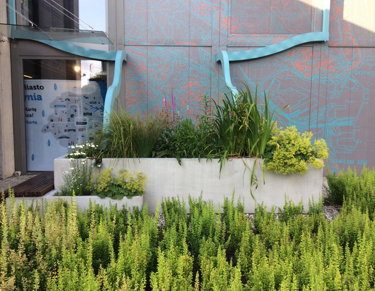 Otwarty w 2018 roku ogr&oacute;d deszczowy przy Gdynia InfoBox. Fot. A. Lipińska