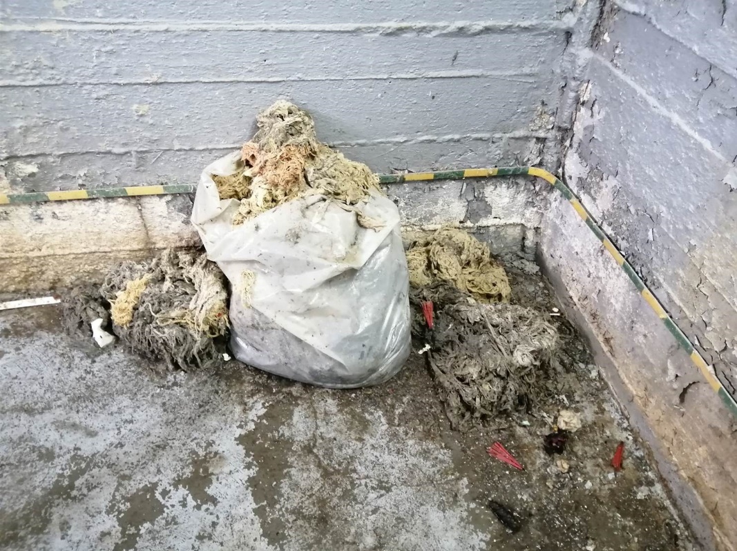 Tak wyglądają m.in. nawilżane chusteczki, kt&oacute;re niekt&oacute;rzy nierozważnie wrzucają do domowych toalet. Odpady nie rozpuszczają się w wodzie, ale podr&oacute;żują siecią kanalizacyjną i powodują awarie infrastruktury, fot. PEWIK