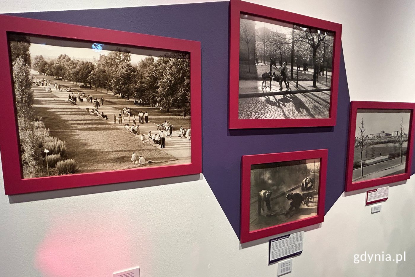 Wystawa "Światło Gdyni" w Muzeum Miasta Gdyni (fot. Magdalena Starnawska)