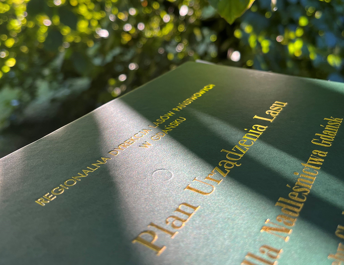 Źr&oacute;dło: Nadleśnictwo Gdańsk