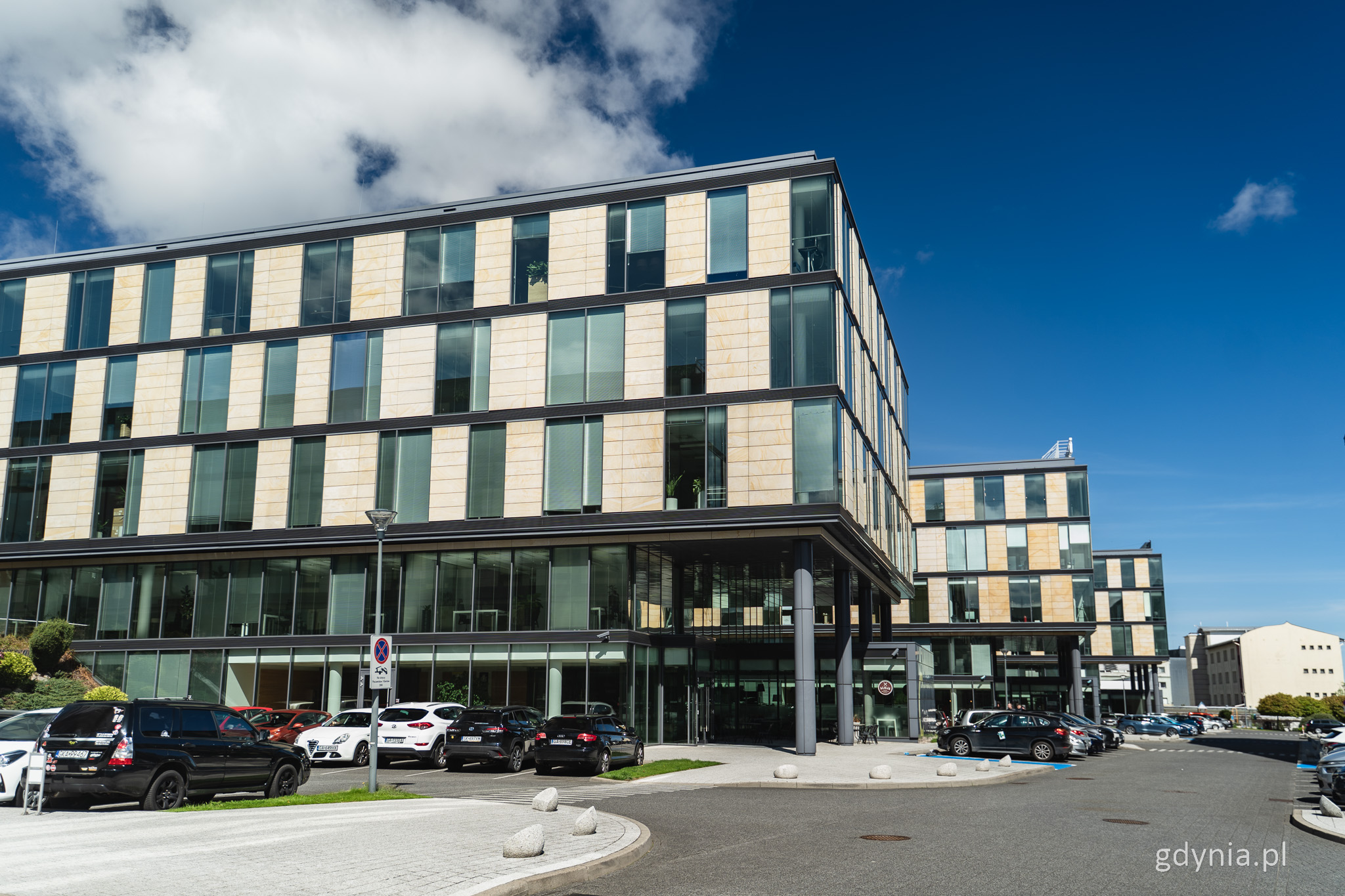 Ulica Łużycka, słoneczny dzień, widoczne trzy budynki biurowe, obok samochody na parkingu