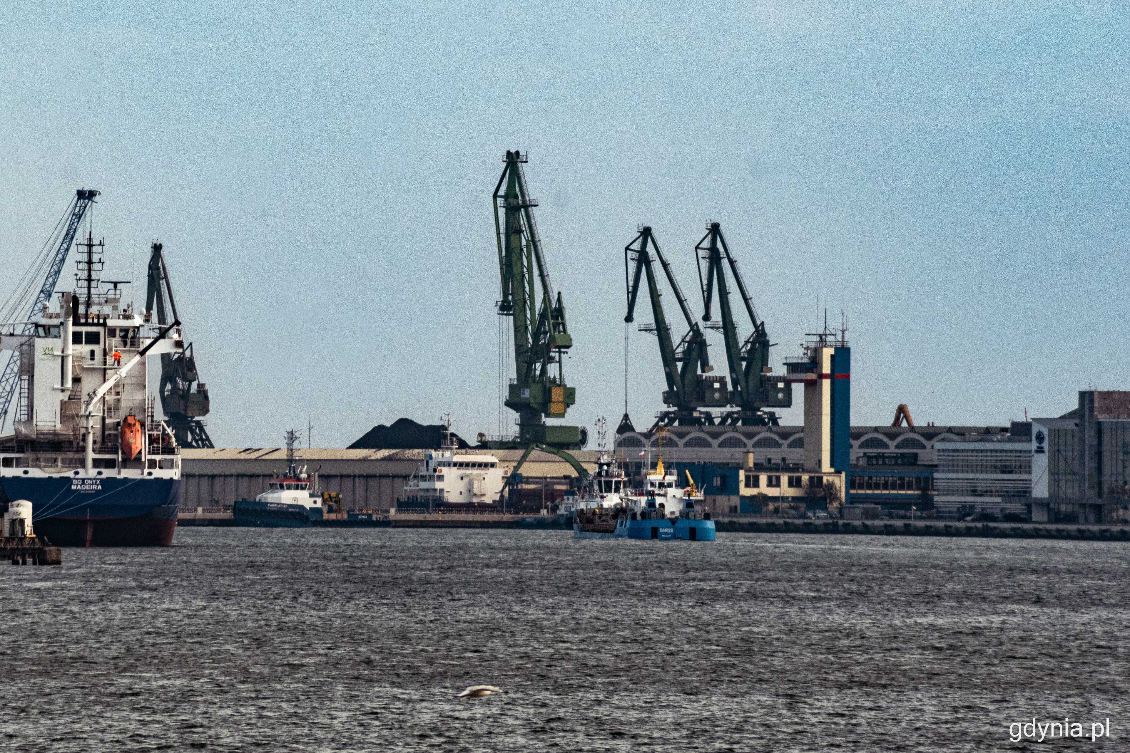Na horyzoncie, w akwenie wewnętrznym Portu Gdynia jedna z pogłębiarek, jednostka Darss, fot. Kamil Złoch