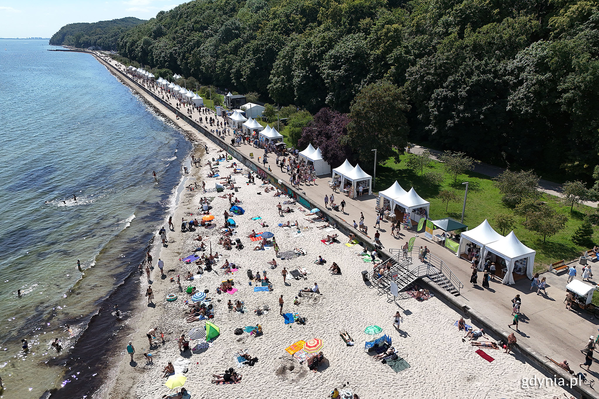 Plener Literacki w Gdyni. 