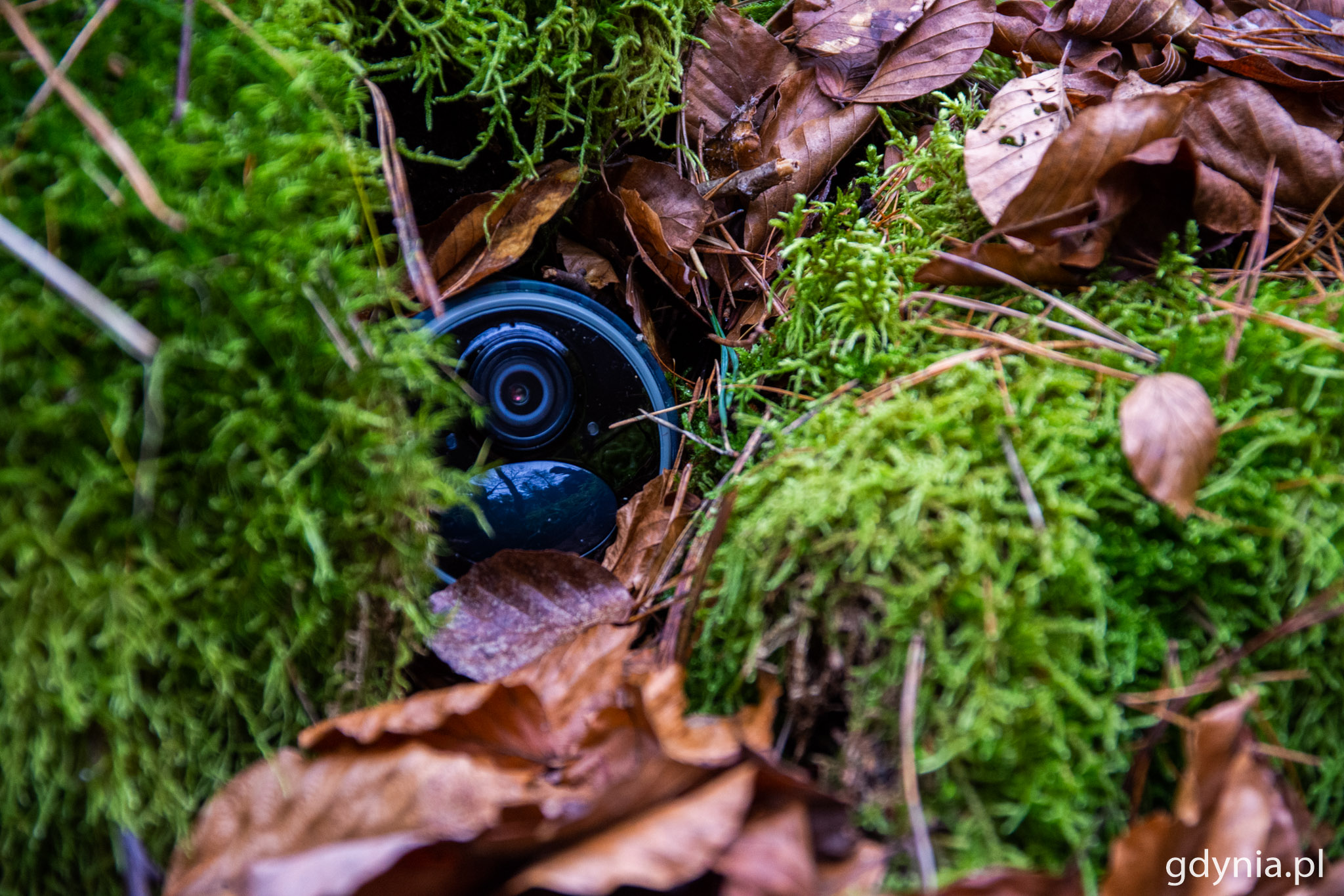 Fotopułapki można dobrze ukryć. Dzięki materiałom, kt&oacute;re rejestrują można ukarać osoby popełniające wykroczenie // fot. Paweł Kukla