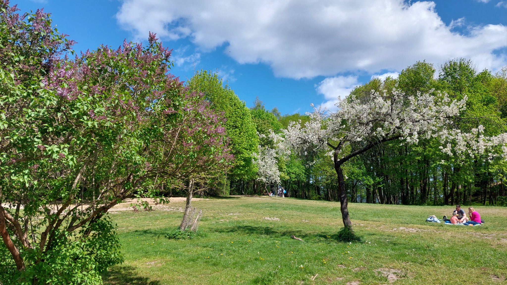 fot. Ewa Oleszczuk (z grupy Gdynia w obiektywie)