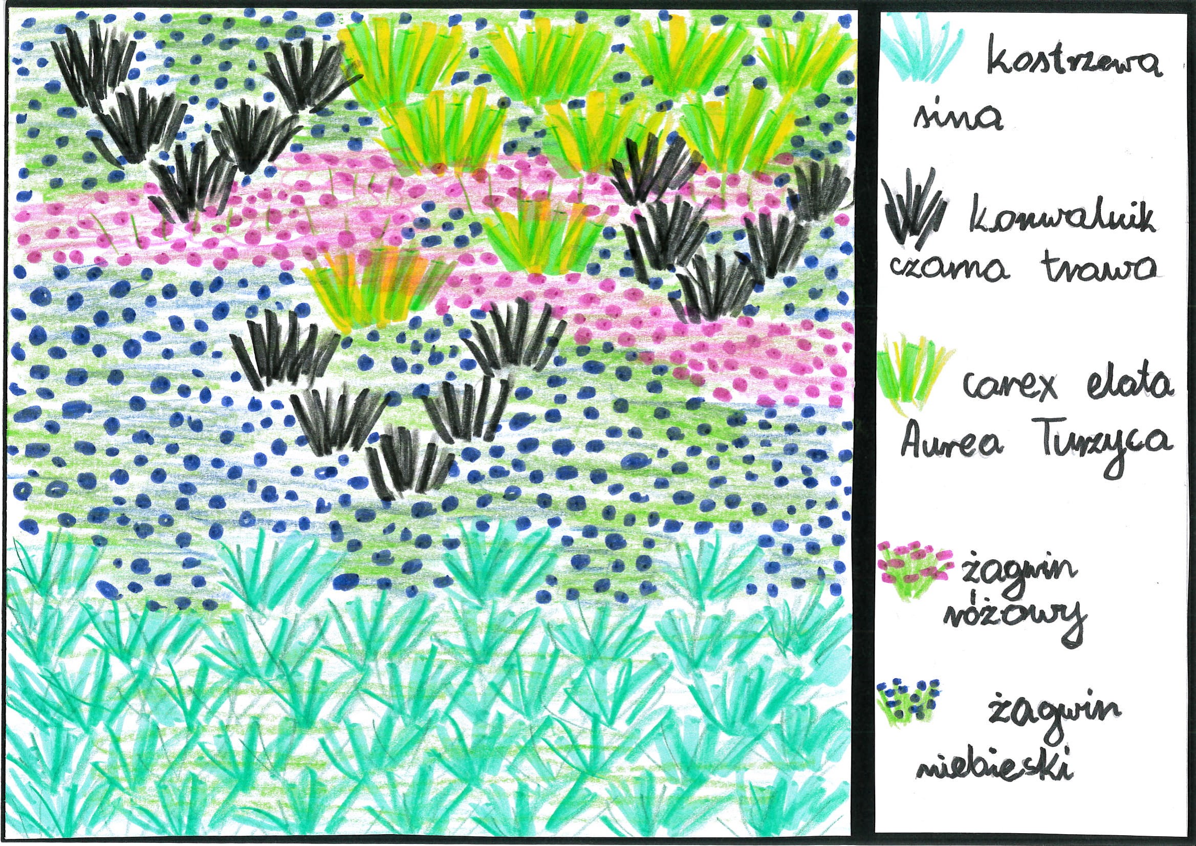 Praca &bdquo;Mewy na tle zachodzącego słońca&rdquo; Pawła Portee