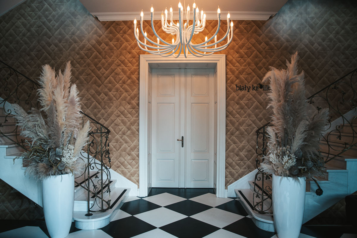 Biały Kr&oacute;lik Gdynia fot. Zygmunt Gołąb