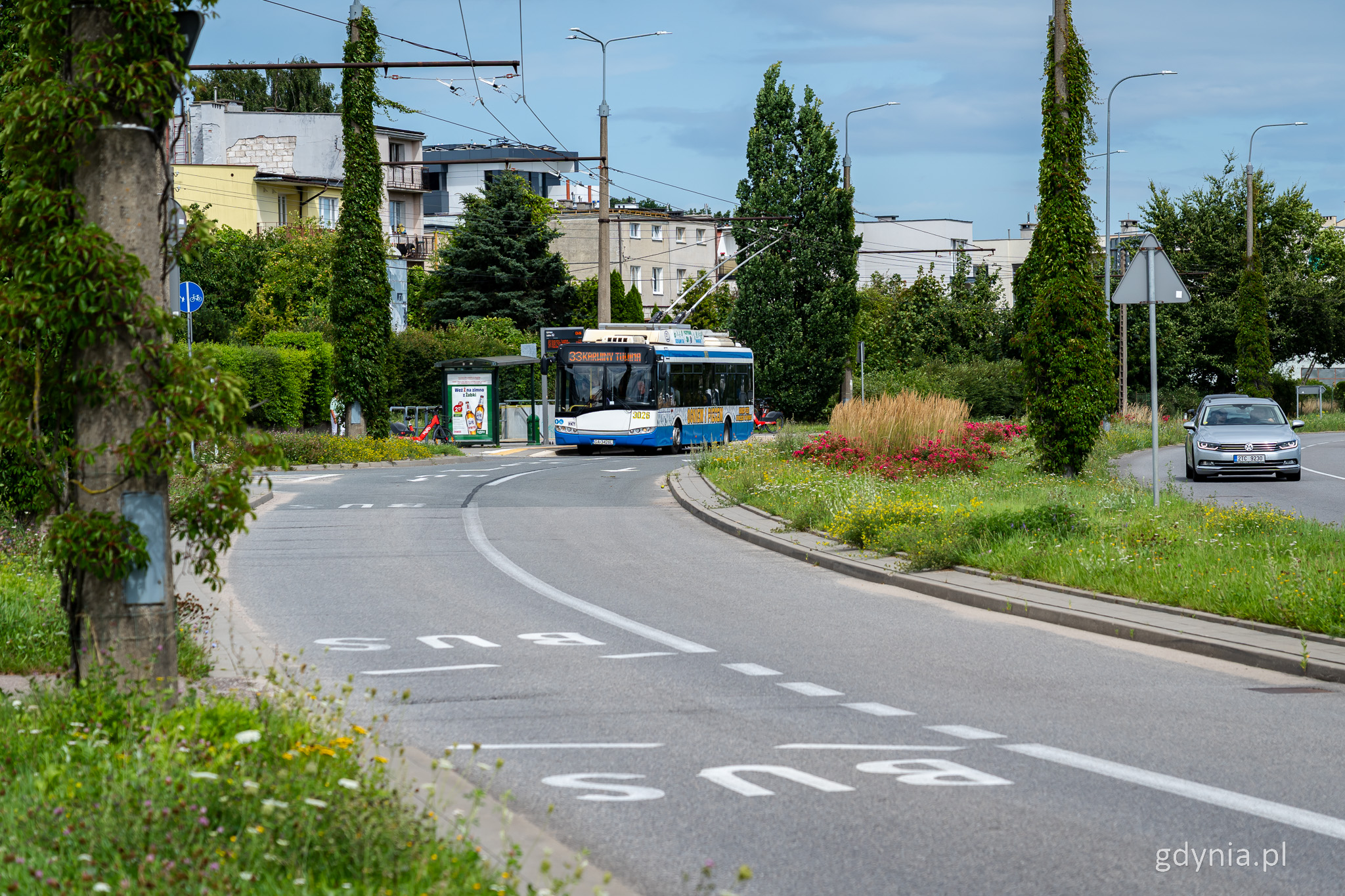 Buspas, ulica Wielkopolska, zieleń, trolejbus przy przystanku