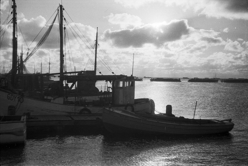 fot. materiały prasowe