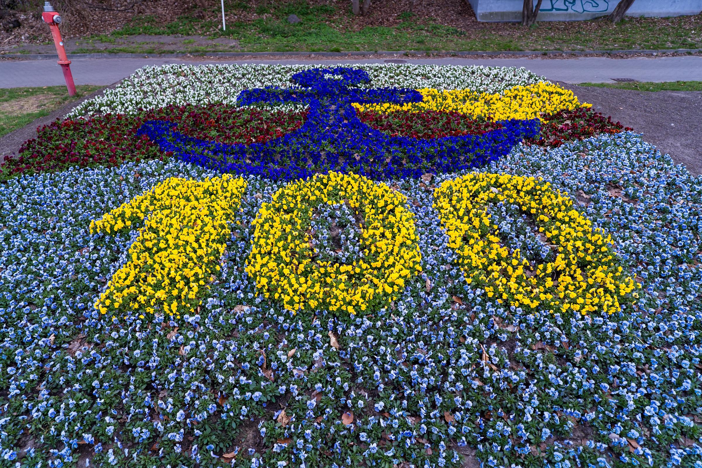 Na Bulwarze Nadfmorskim można podziwiać kompozycję, kta powstała na podstawie zwycięskiej pracy w konkursie Gdynia malowana kwiatami (fot. Paweł Budziński)