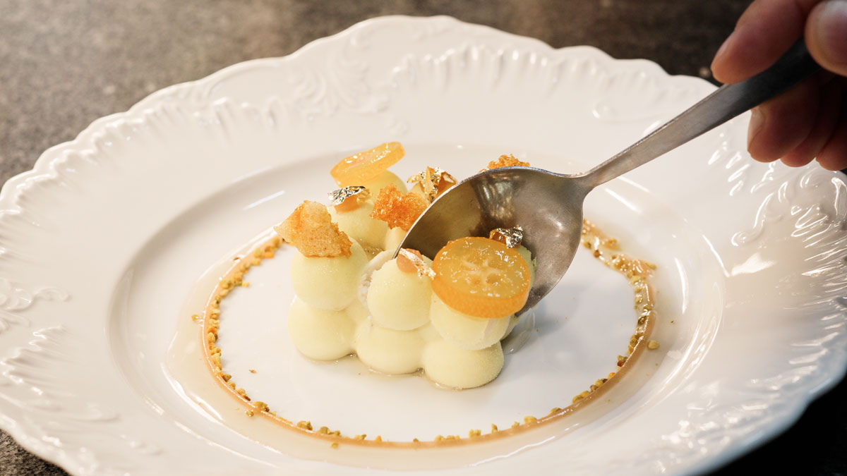 Biały kr&oacute;lik, fot. Zygmunt Gołąb