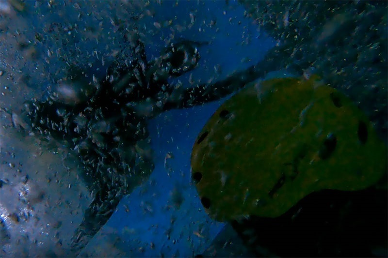 Ćwiczenia amerykańskich lotnik&oacute;w Ośrodku Szkolenia Nurk&oacute;w i Płetwonurk&oacute;w Wojska Polskiego w Gdyni. Fot. kmdr ppor. Michał Drabarczyk