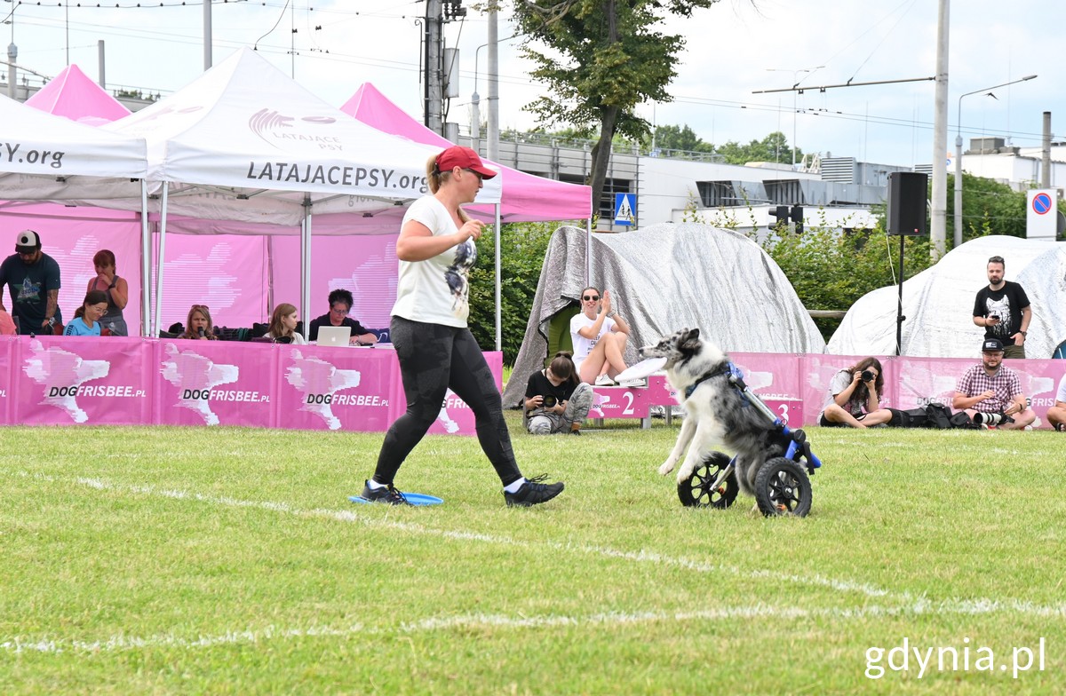 W zawodach wziął też udział waleczny czworon&oacute;g ze sparaliżowanymi tylnymi łapkami 