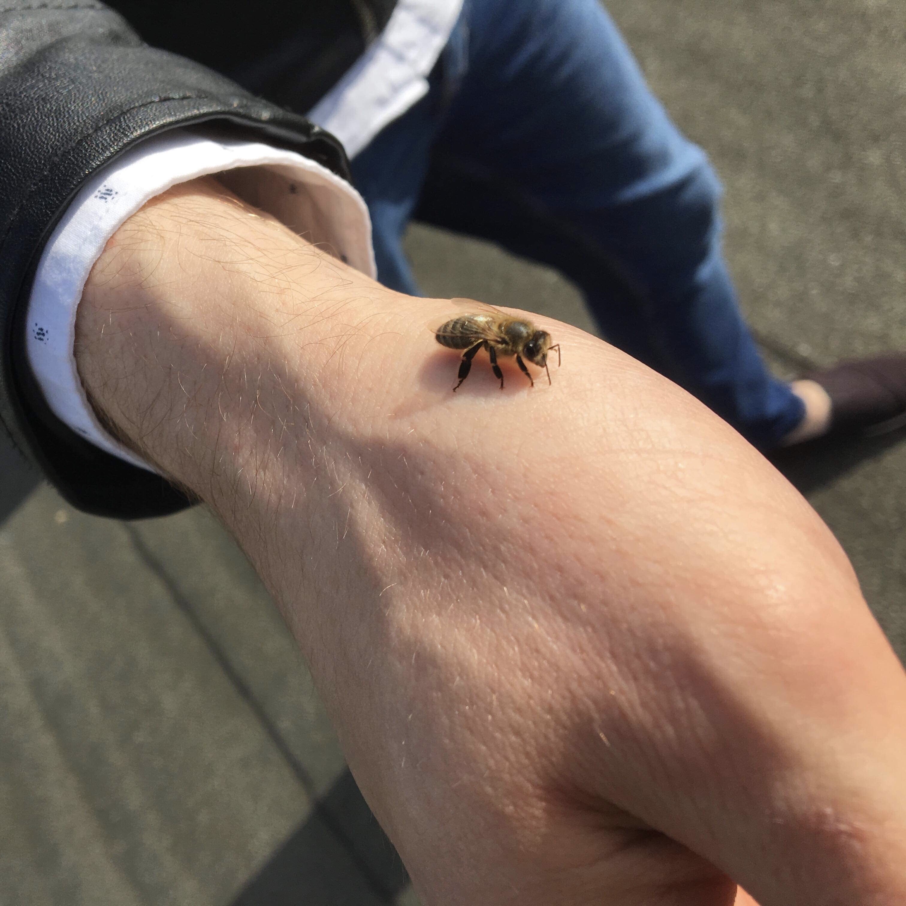 fot. materiały konkursowe