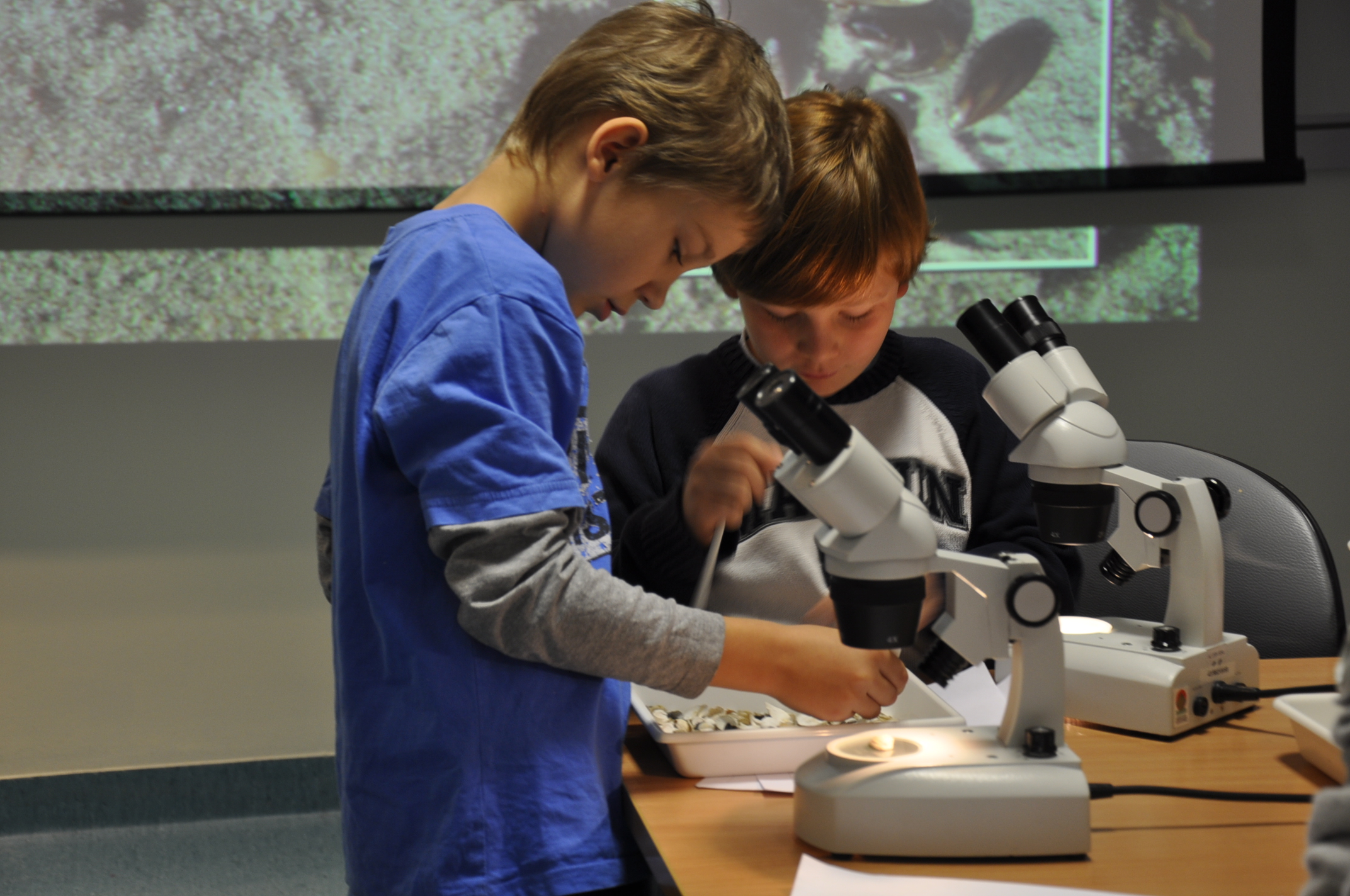 Jedne z warsztat&oacute;w przeprowadzonych w poprzednich latach, fot. Akwarium Gdyńskie