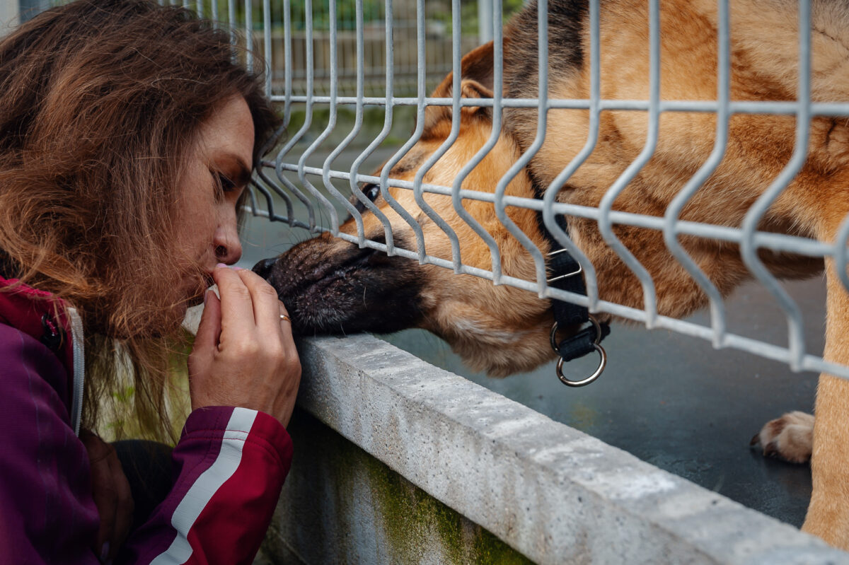 W &ldquo;Ciapkowie&rdquo; nie brak ps&oacute;w, kt&oacute;re czekają na nowe, kochające domy//fot. Dawid Linkowski