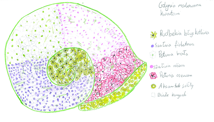 Na zdjęciu ułożony z kwiatk&oacute;w ślimak