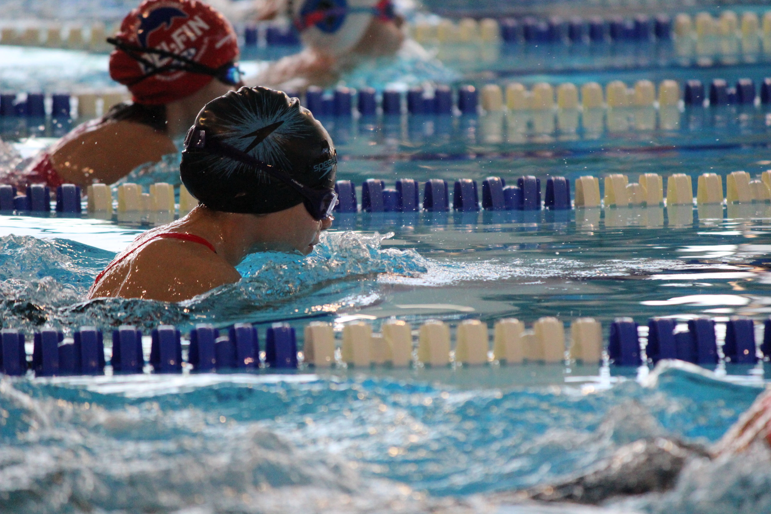 Sobotnie zawody &bdquo;Gdyńskie Delfinarium&rdquo; w pływalni AMW, fot. mat. prasowe KS Delfin Gdynia