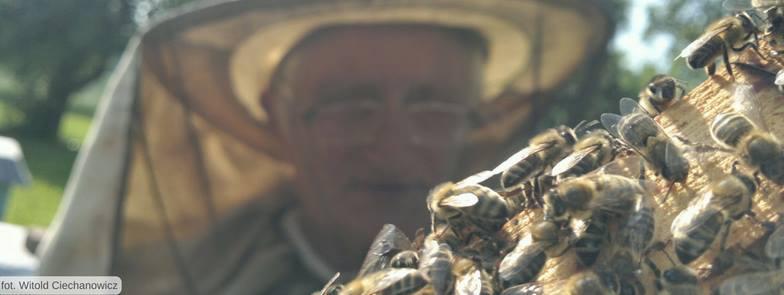 fot. Witold Ciechanowicz