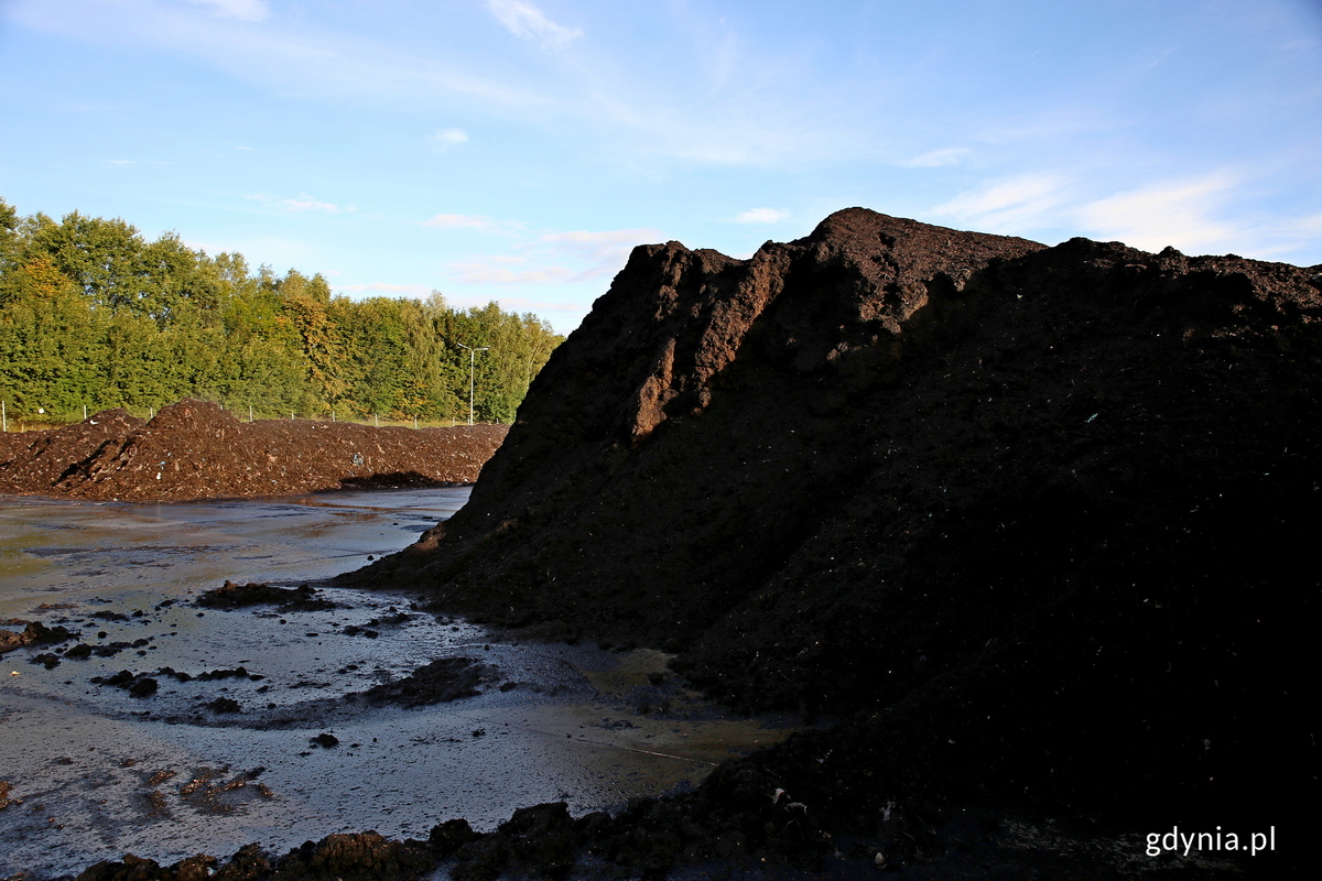 Gotowy produkt powstały w wyniku kompostowania odad&oacute;w kuchennych - naw&oacute;z organiczny ED3000. Fot. Przemysław Kozłowski