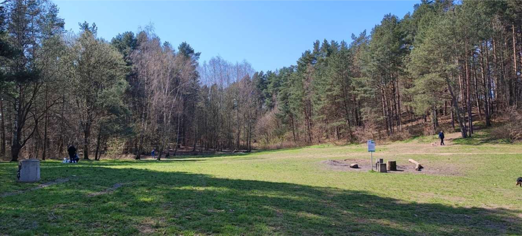 Leśna Polana na Dąbrowie // fot. WOM