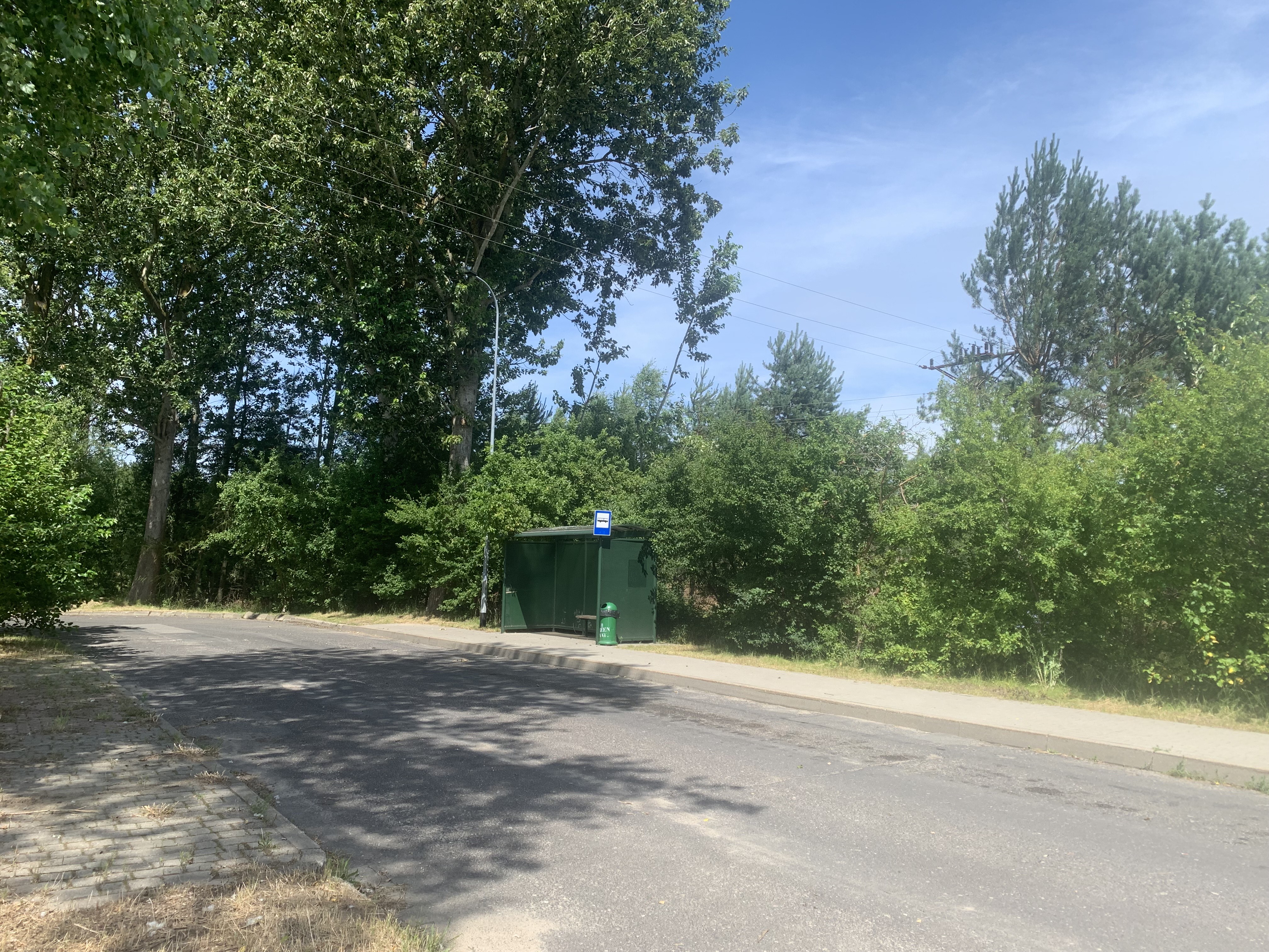 ul. Wiczlińska - pętla Niemotewo, fot. D.Matejczyk, WI UM Gdyni