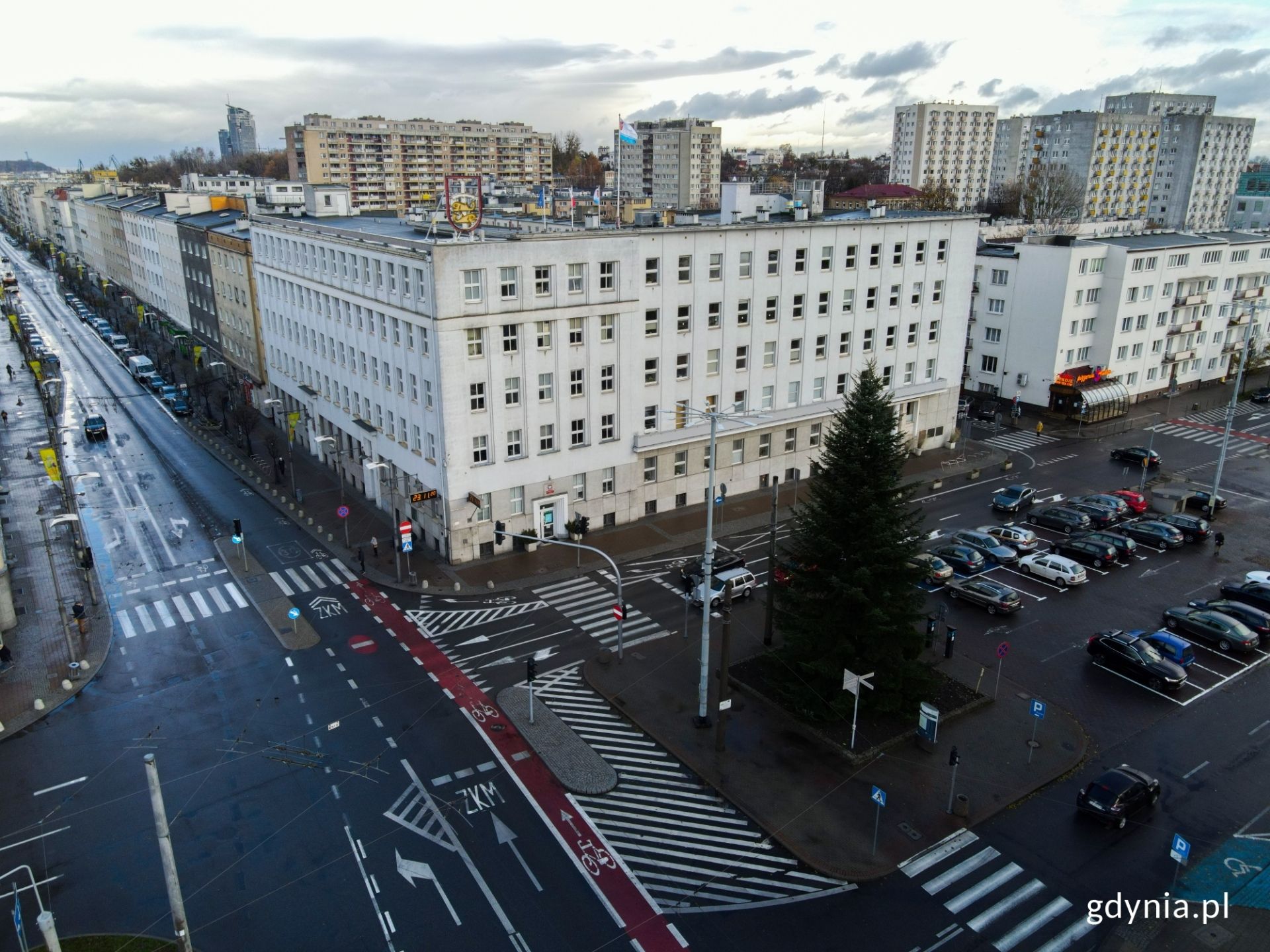 Jodła przed Urzędem Miasta Gdyni czeka już na przystrojenie. Fot. Marcin Mielewski