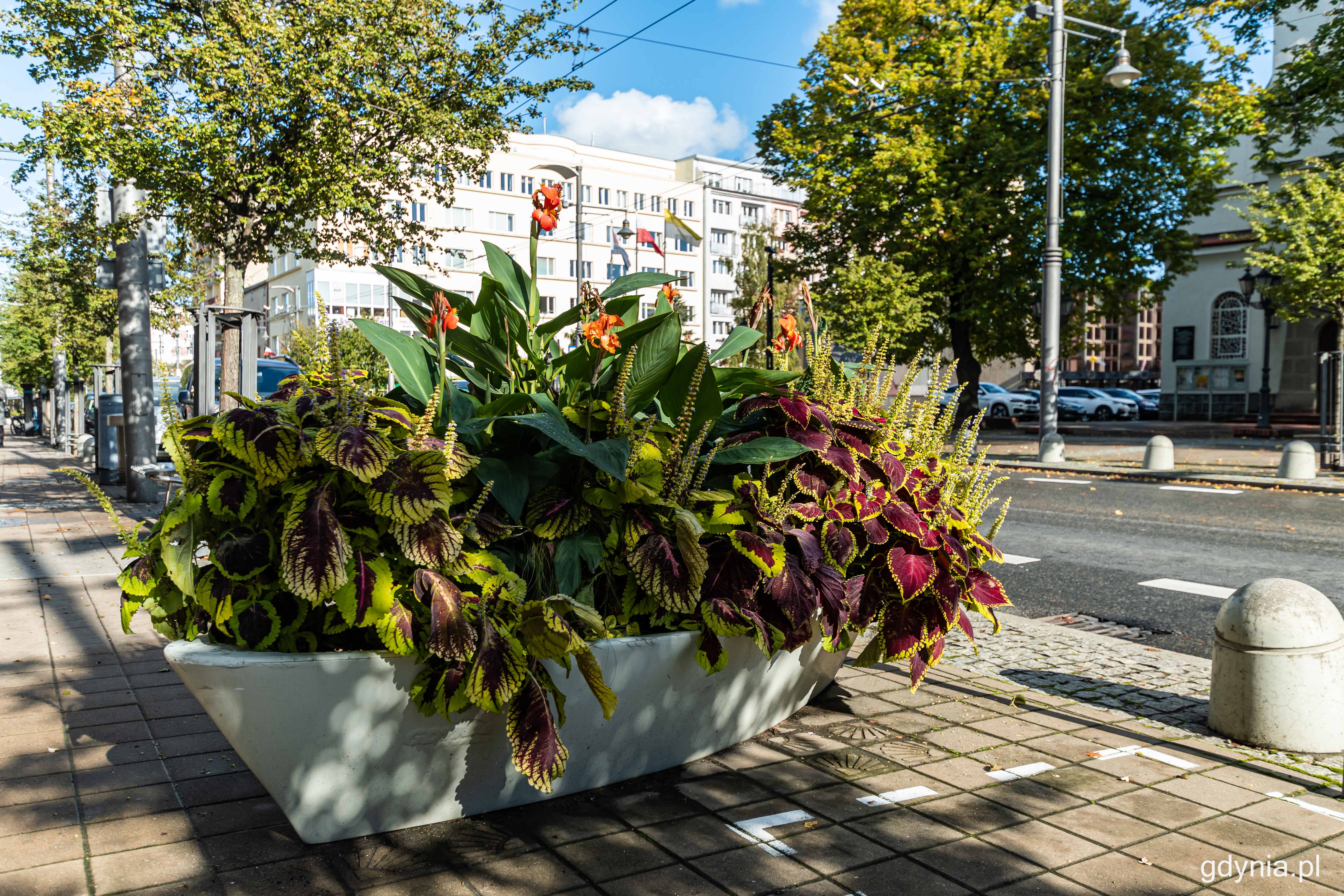 Już wkr&oacute;tce w ł&oacute;deczkach pojawią się nowe rośliny, fot. Kamil Złoch