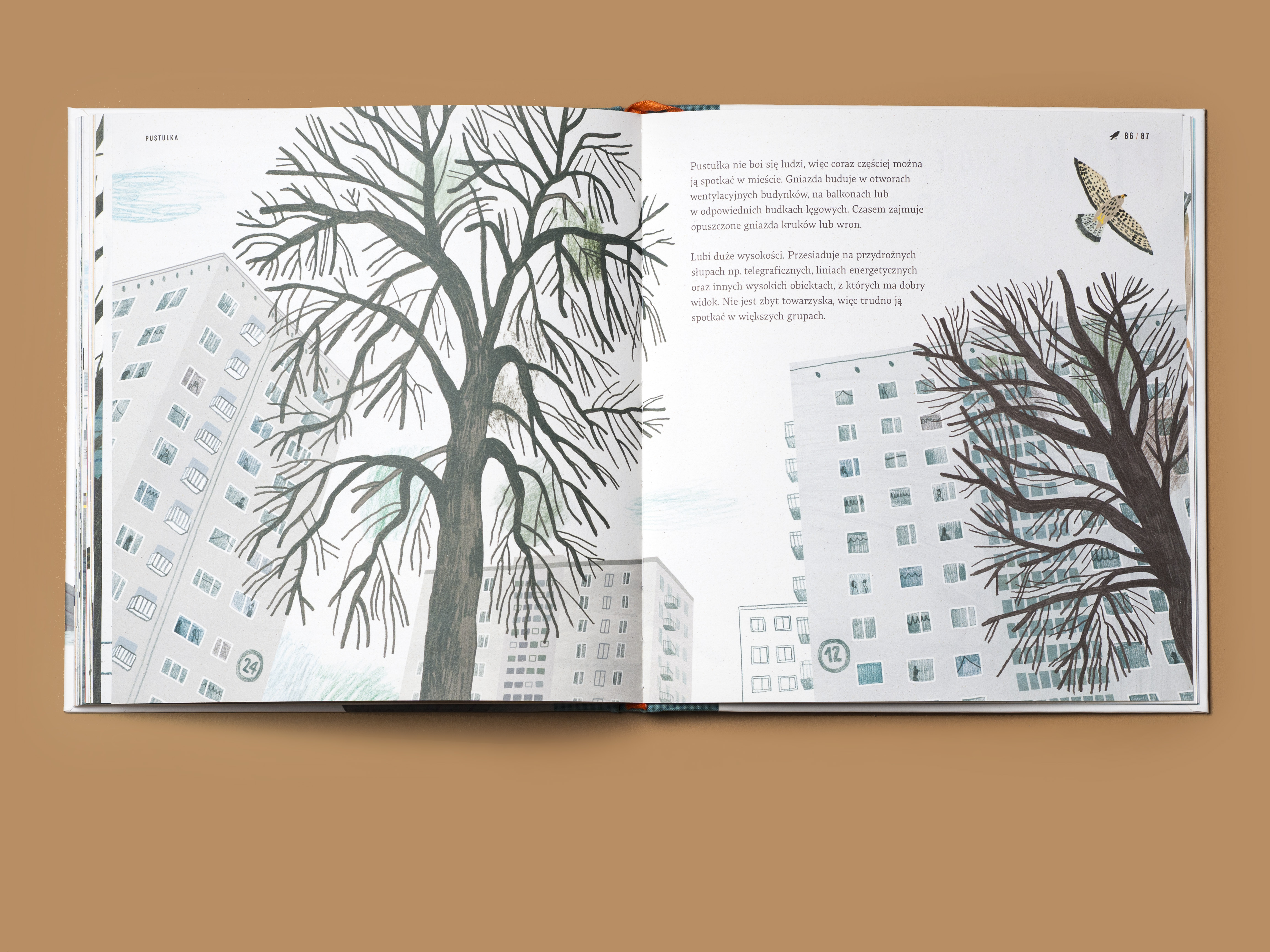 Książka &bdquo;Zapraszamy ptaki do Gdyni&rdquo; dostępna w sklepie Muzeum Miasta Gdyni, fot. mat. prasowe