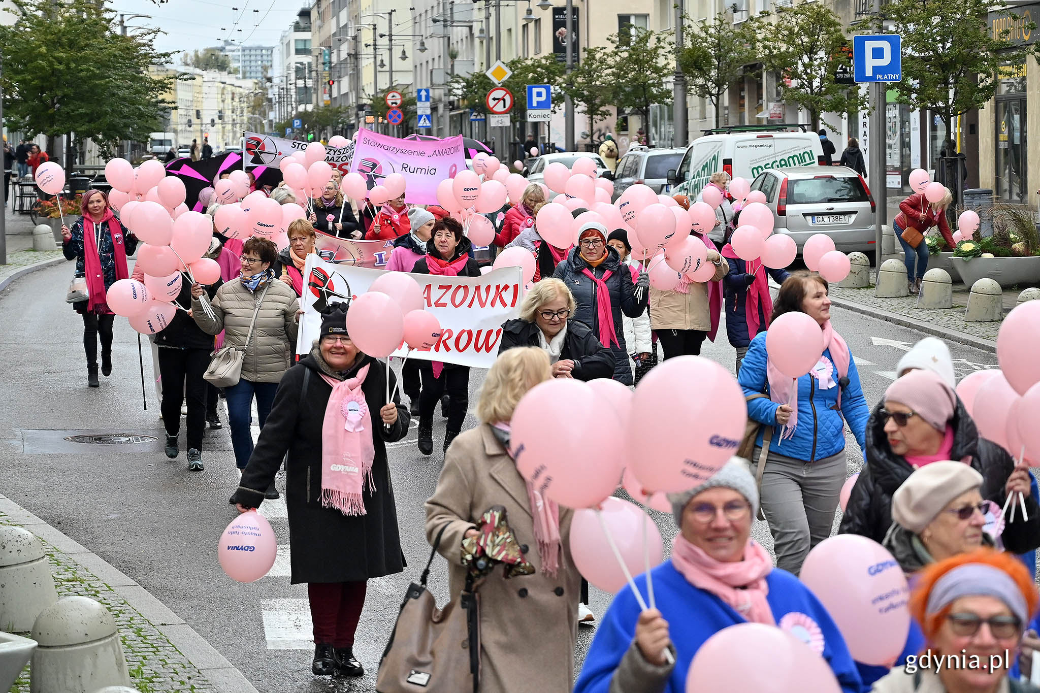 marsz r&oacute;zowej wstazki