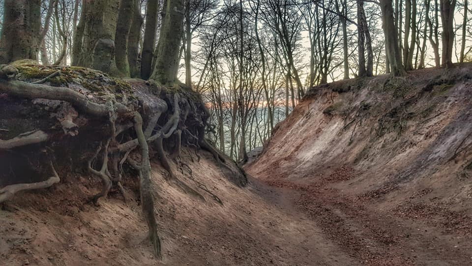 Jeden z malowniczych wąwoz&oacute;w na Kępie Redłowskiej, fot. Łapiąc Chwile / z naszej facebookowej grupy &bdquo;Gdynia w obiektywie&rdquo;