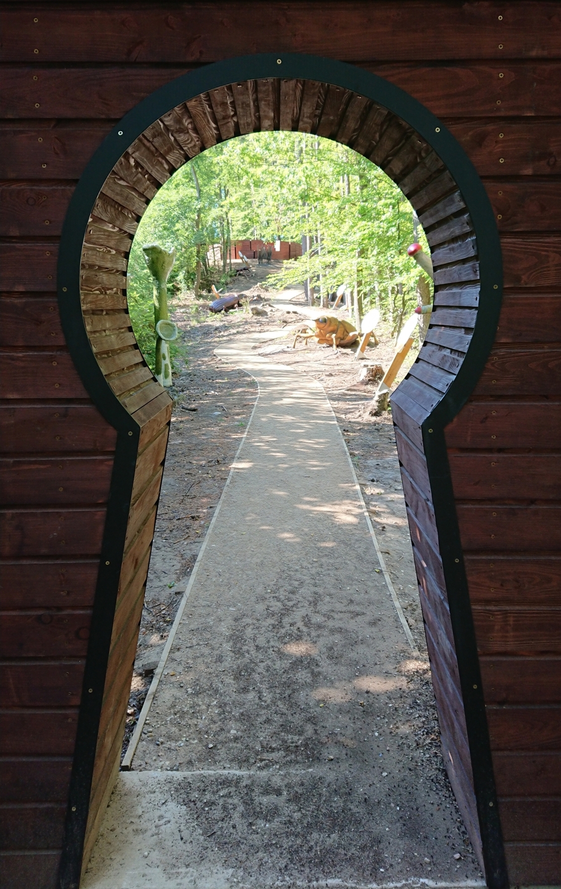 fot. materiały prasowe