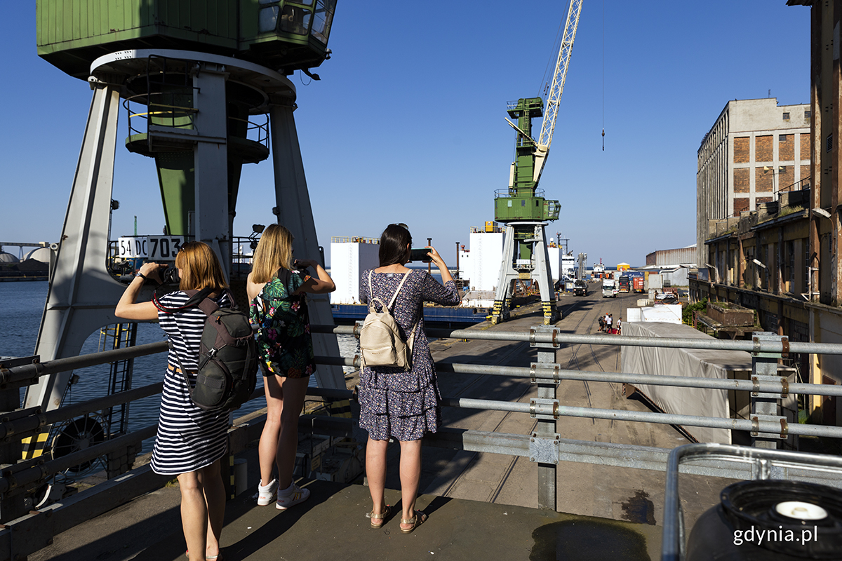 Teren Dalmoru, fot. Przemysław Kozłowski