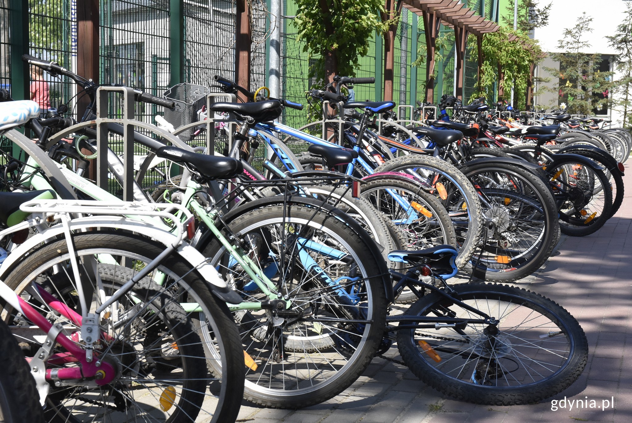 fot. Magdalena Czernek