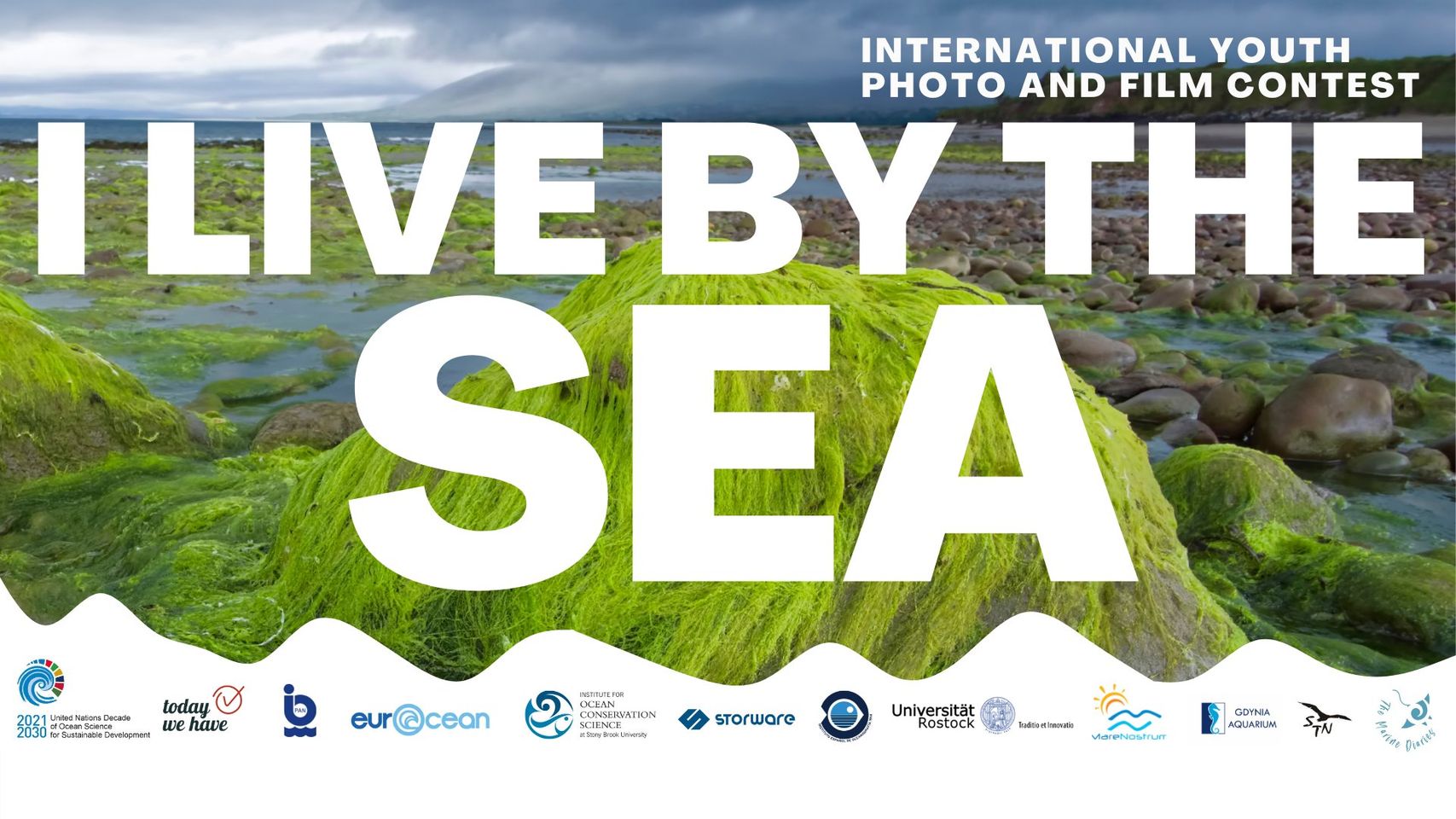 fot. materiały organizatora