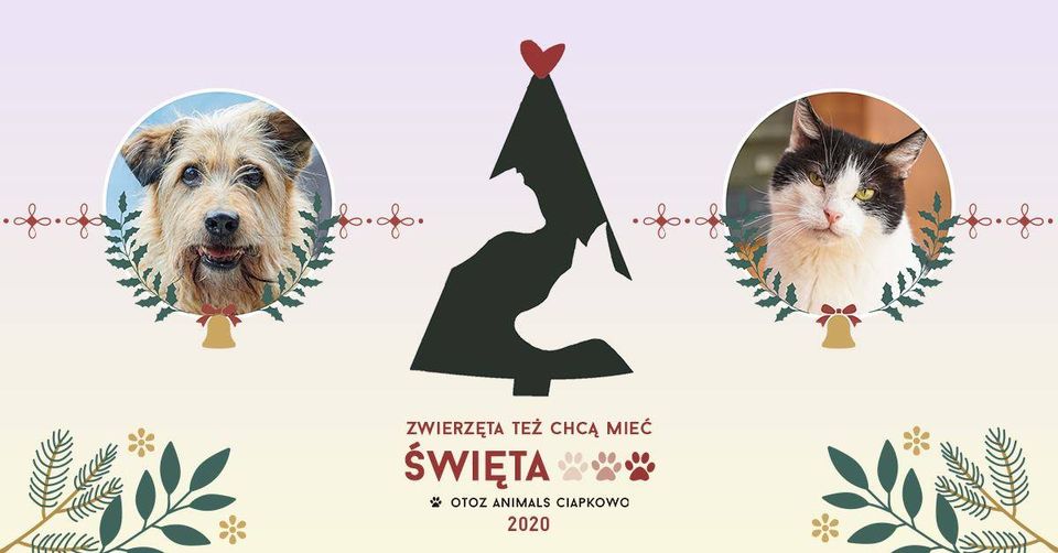 Zwierzęta Też Chcą Mieć Święta - OTOZ Animals Ciapkowo 2020, mat. prasowe