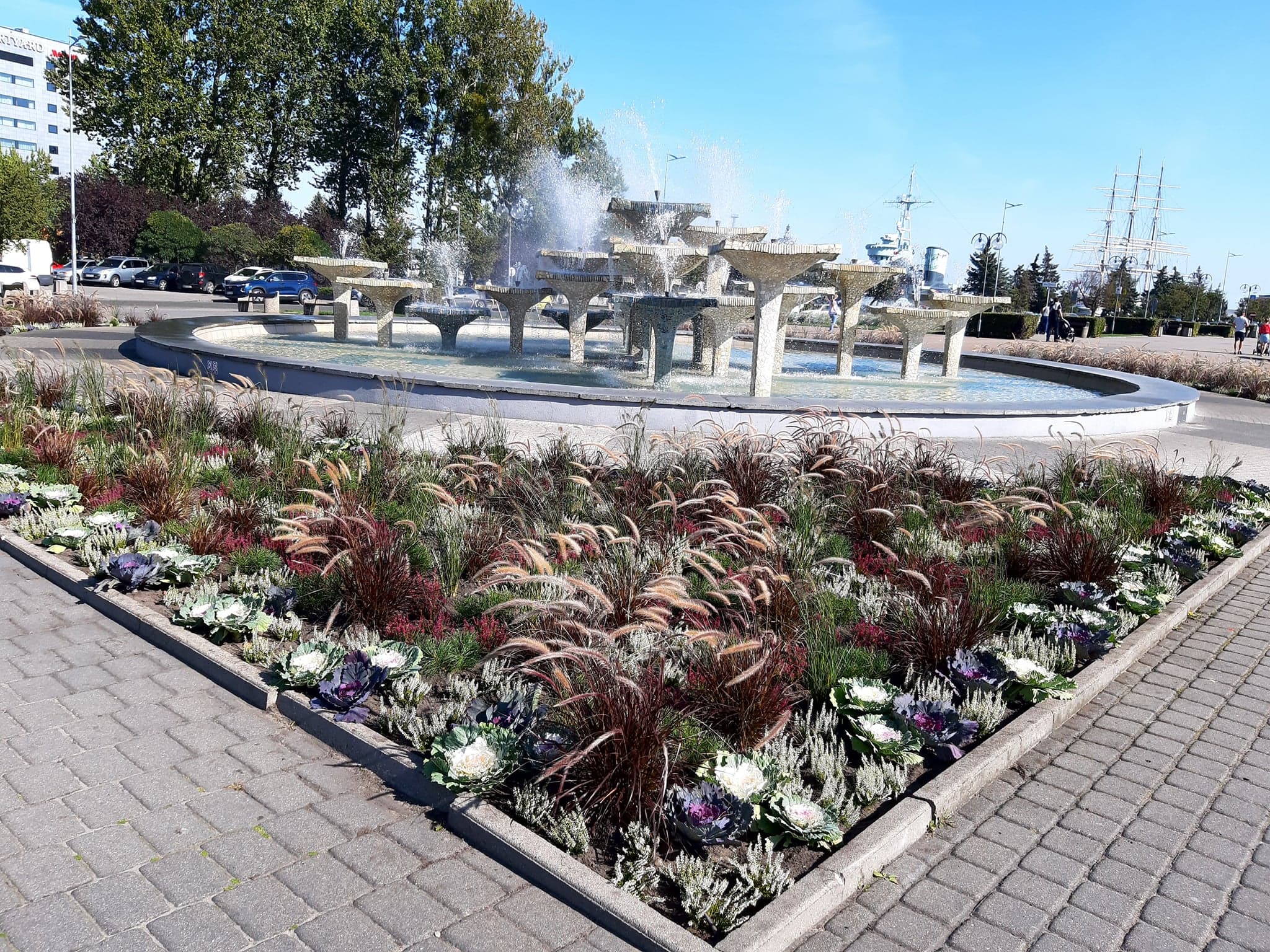 rabata przy fontannie na skwerze Kościuszki, nasadzono w niej kapustę ozdobną, sosnę g&oacute;rską oraz trawy ozdobne,, fot. Wydział Ogrodnika Miasta