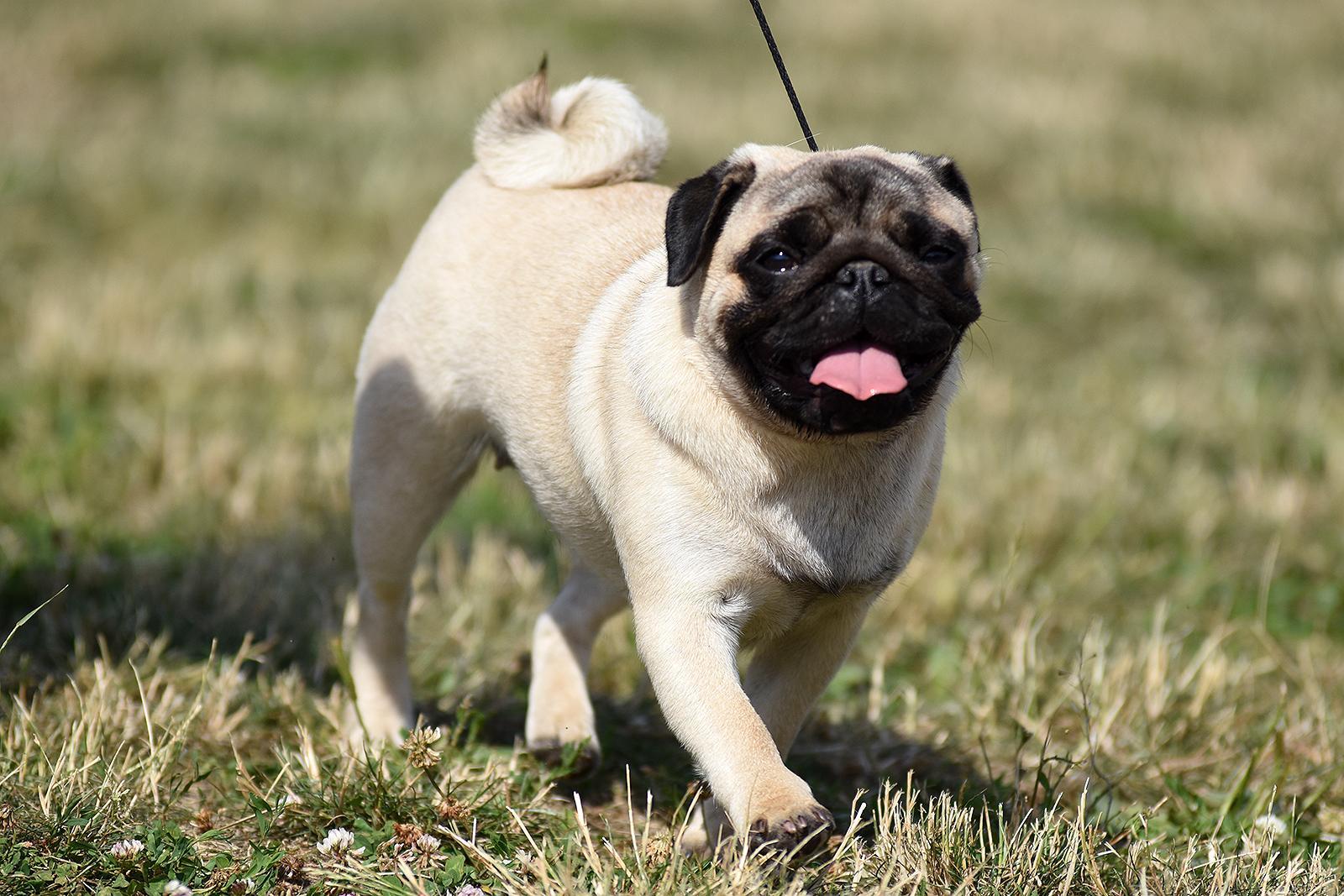 fot. Michał Puszczewicz