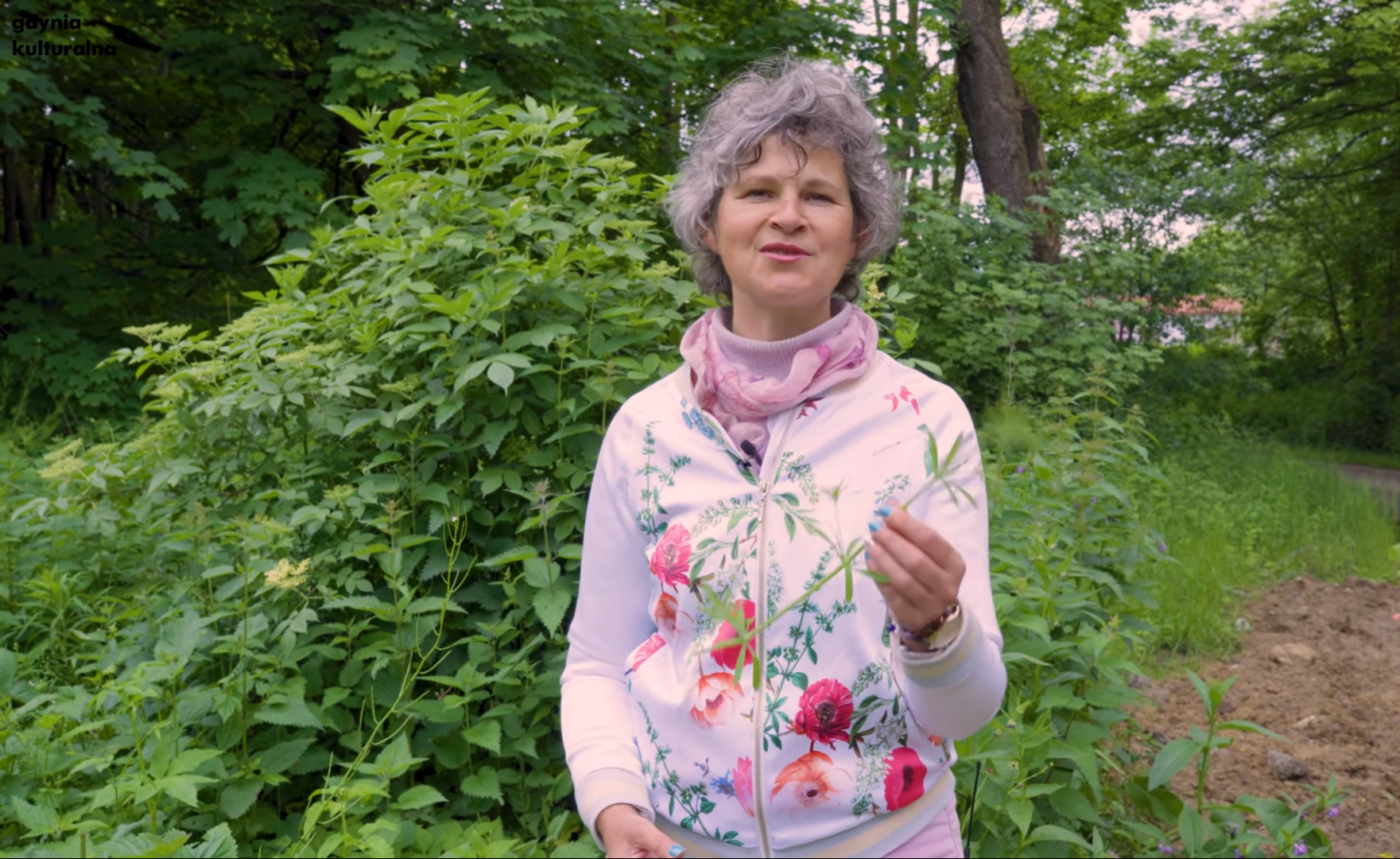 Dzika Gdynia - Dorota Grądzka