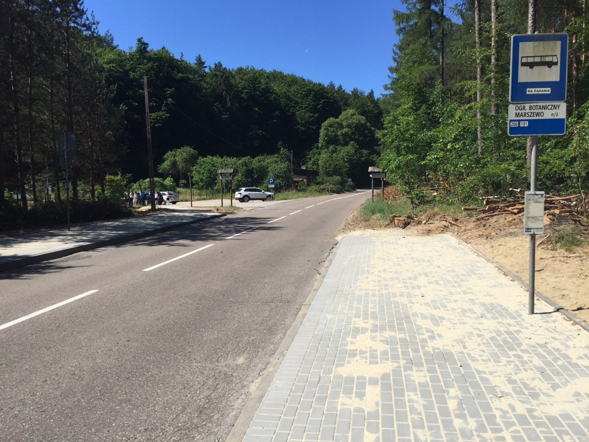 Gdyński ZDiZ w 2018 roku oczyścił pobocza przy ul. Marszewskiej, usuwając najbardziej zagrażające bezpieczeństwu drzewa, fot. ZDiZ Gdynia