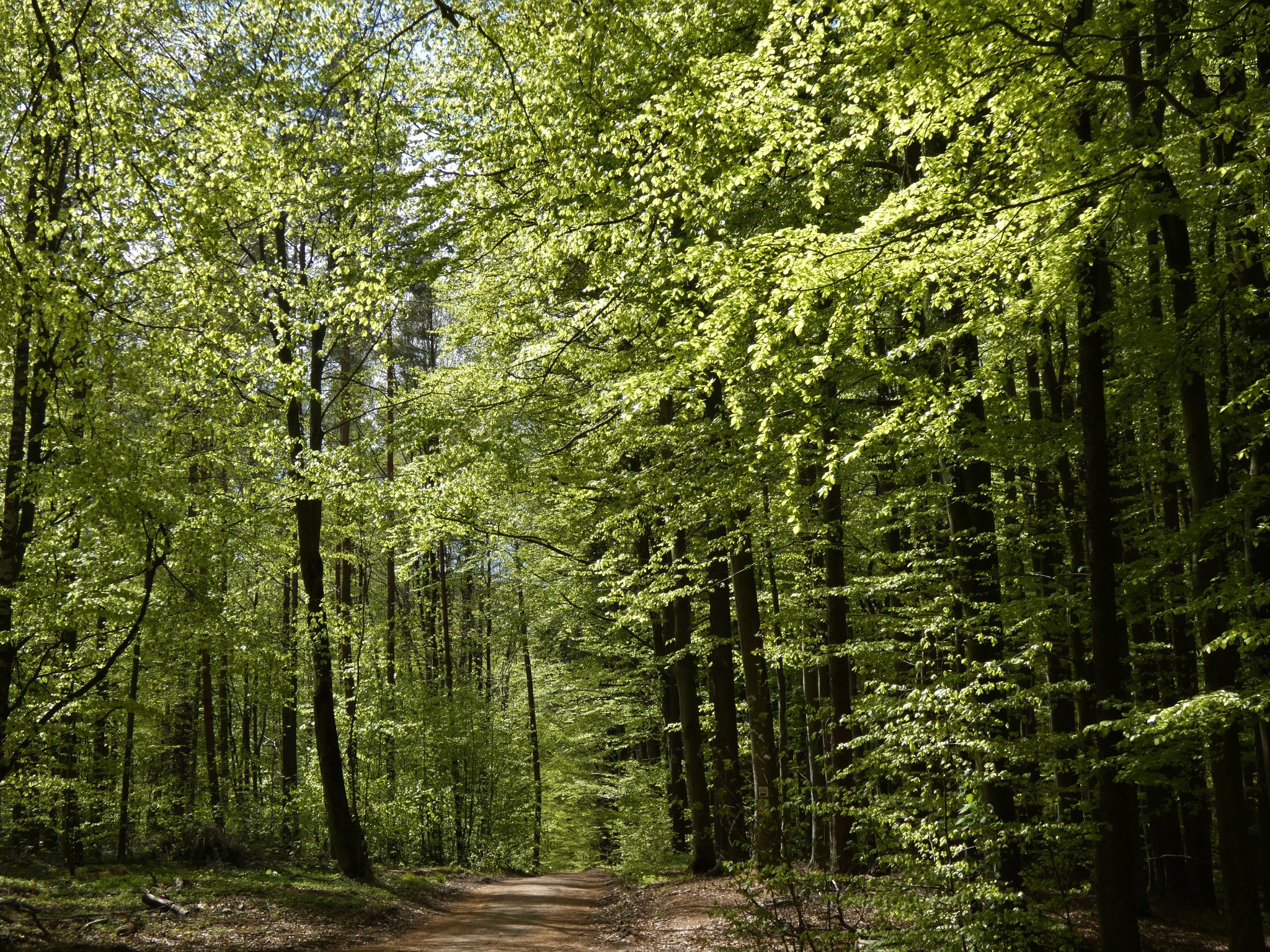 fot. Małgorzata Olszewska (z naszej grupy Gdynia w obiektywie)