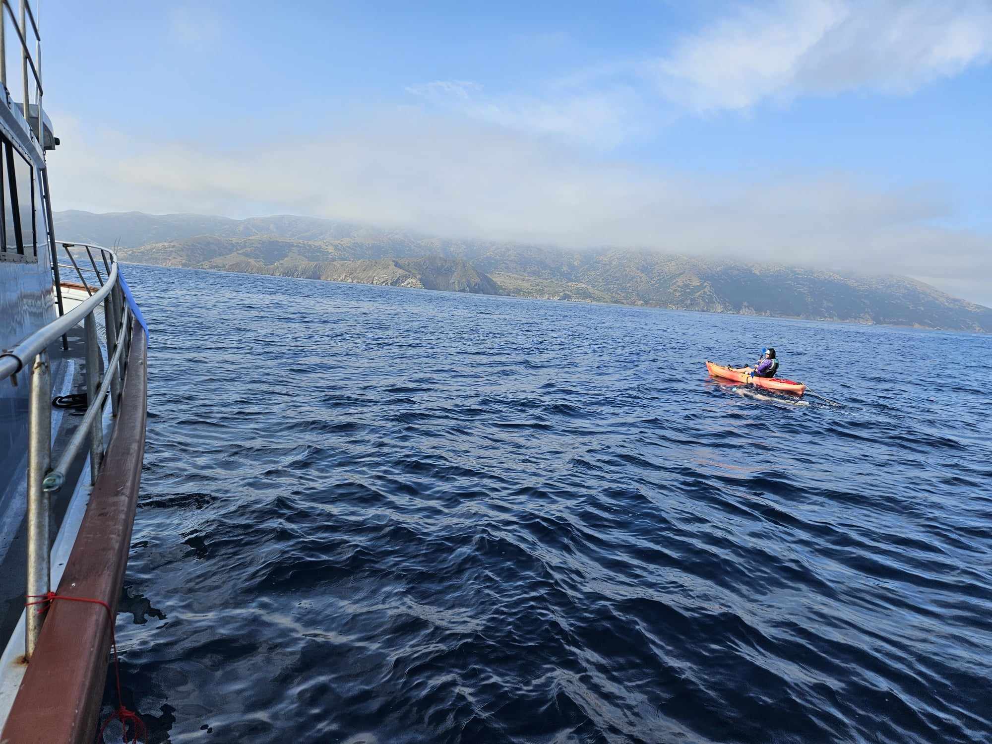 Kabelis podczas płynięcia