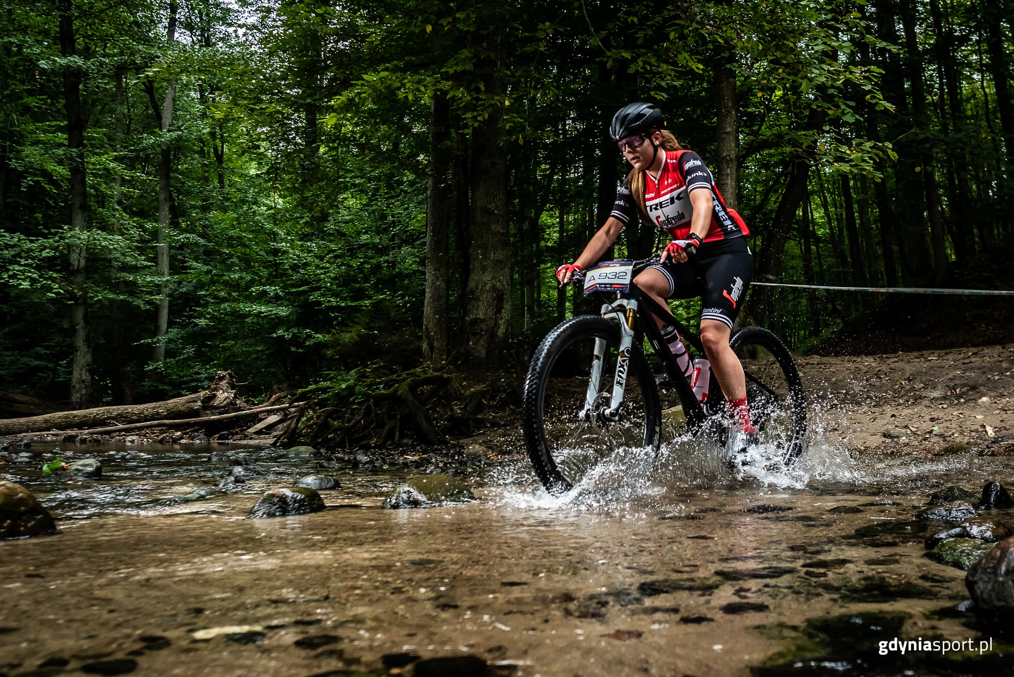 Trasa prowadząca po tr&oacute;jmiejskich lasach należy do jednej z najpiękniejszych w kraju