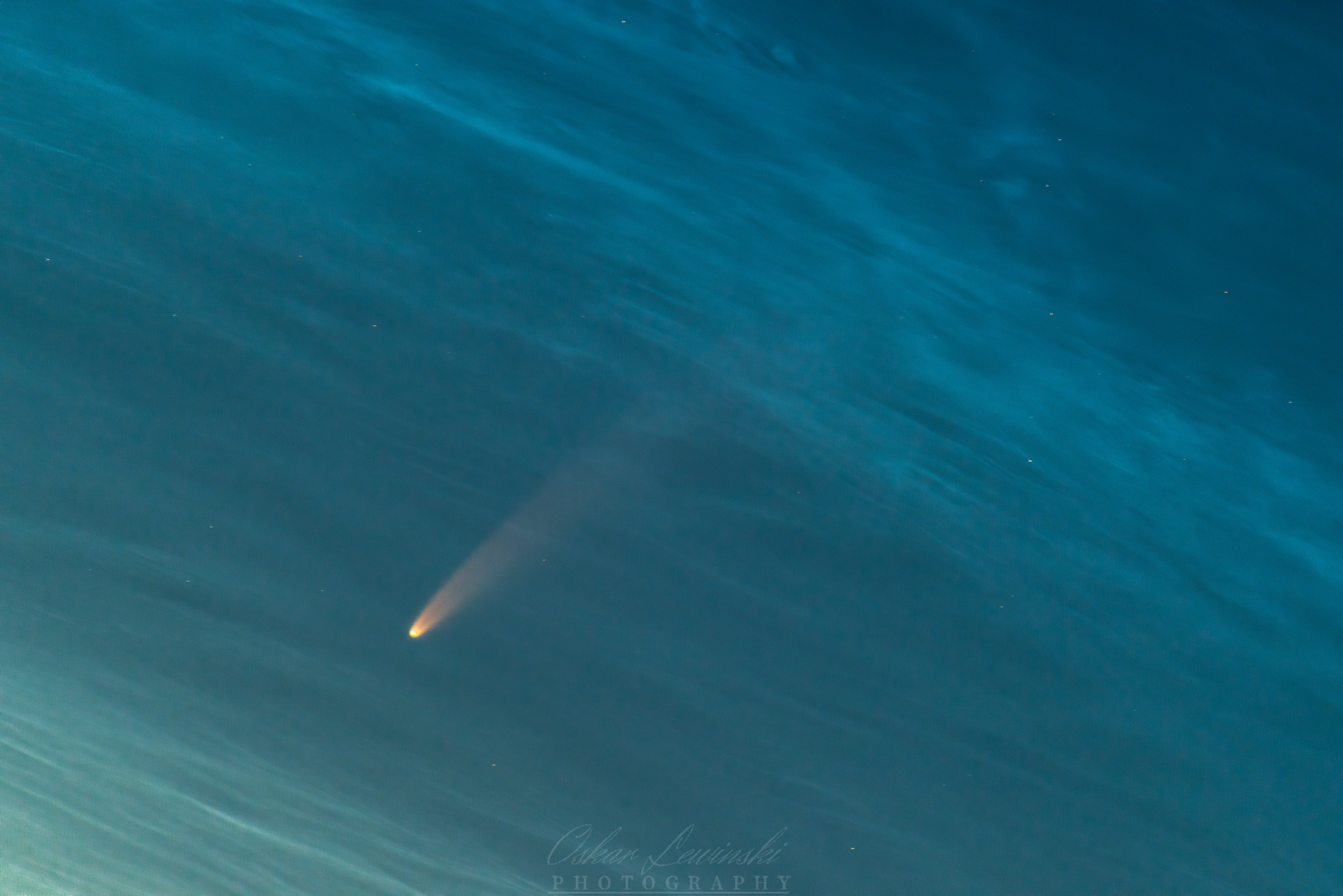 fot. Oskar Lewiński (Gdynia NOCĄ)